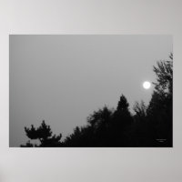 Erfüllung: Nature Zen/Tao Poster