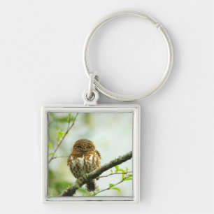 Ergatterter Pigmy Owlet, der auf Baumast hockt, Schlüsselanhänger