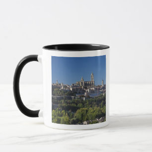 Erhabene Stadtansicht mit der Kathedrale von Segov Tasse