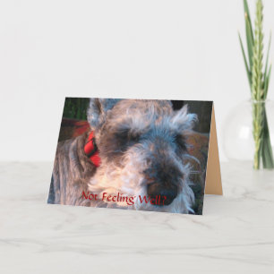 Erhalten Sie Brunnen bald, hoffnungsvoll Karte