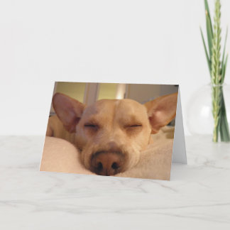 ERHALTEN SIE GUT BALD KARTE