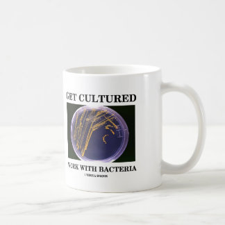 Erhalten Sie kultivierte Arbeit mit Bakterien Tasse