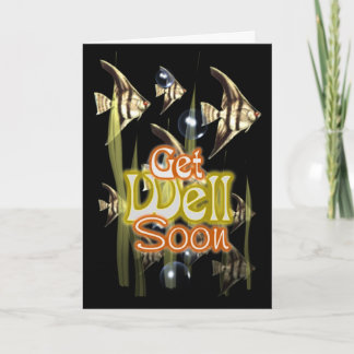 Erhalten Sie wohlen bald Angelfish Karte