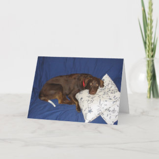 Erhalten Sie wohlen Jake Karte