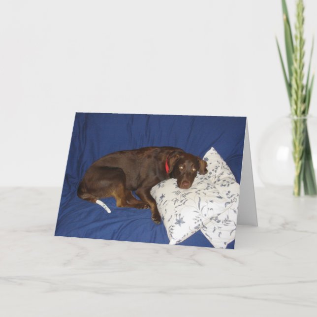 Erhalten Sie wohlen Jake Karte (Vorderseite)