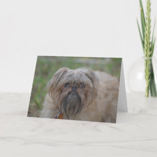 Erhalten Sie wohlen Karte-Spaß/unhöflich Karte