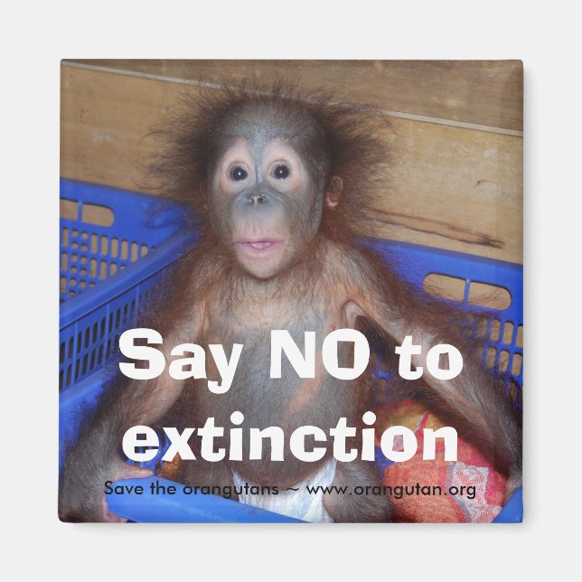 Erhaltung der Orangutan Magnet (Vorne)