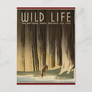 Erhaltung des wild lebenden Lebens Postkarte