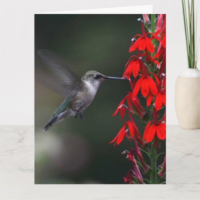 Erhellen Sie jemand Tag mit dieser reizenden Karte (Vorderseite)