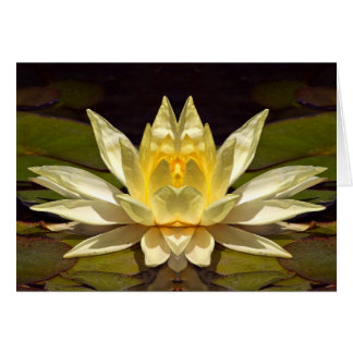Erhöhte Karte Lotus1