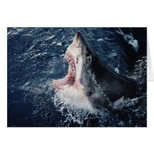 Erhöhte Schornsteine