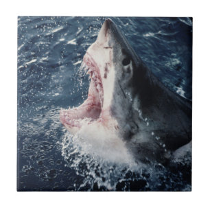 Erhöhte Schornsteine Fliese