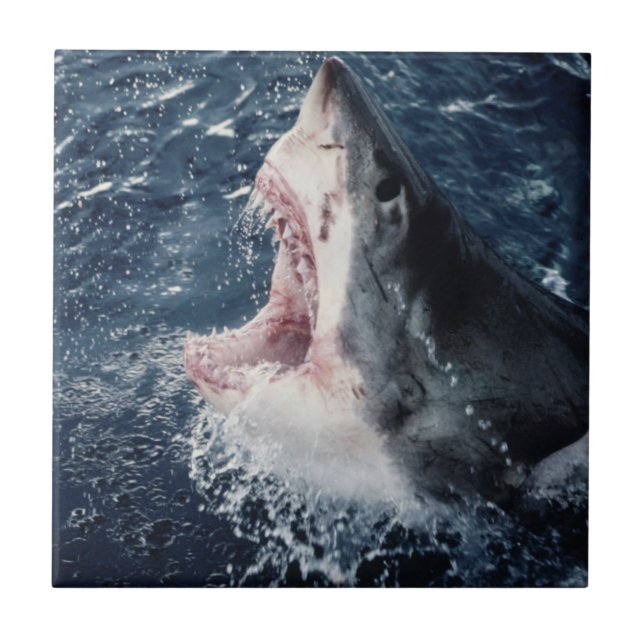 Erhöhte Schornsteine Fliese (Vorderseite)