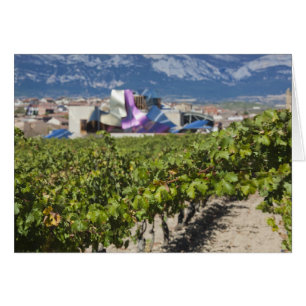 Erhöhte Stadtsicht und Hotel Marques de Riscal