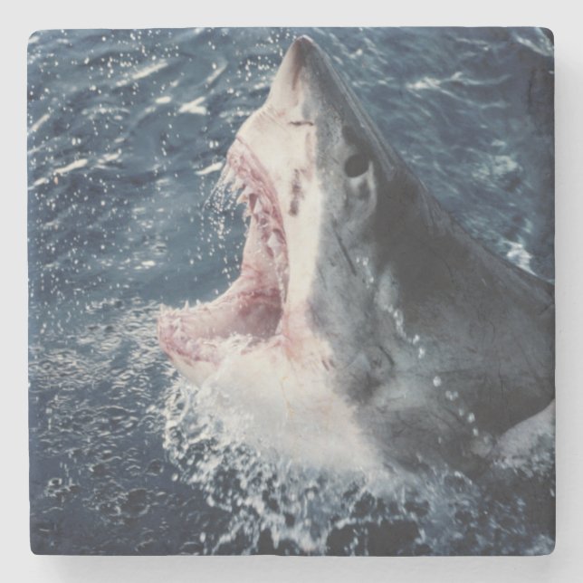 Erhöhter Haifischmund offen Steinuntersetzer (Vorderseite)