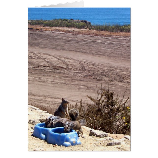 Erholung anhalten - Karte (Vorne)