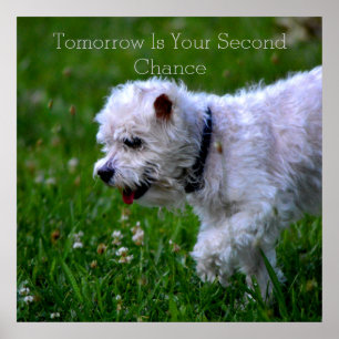 Erholung Tomorrow Poster