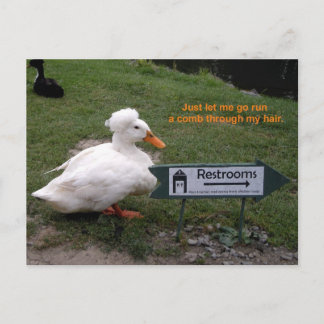 Erholungs-Raum-Ente Postkarte
