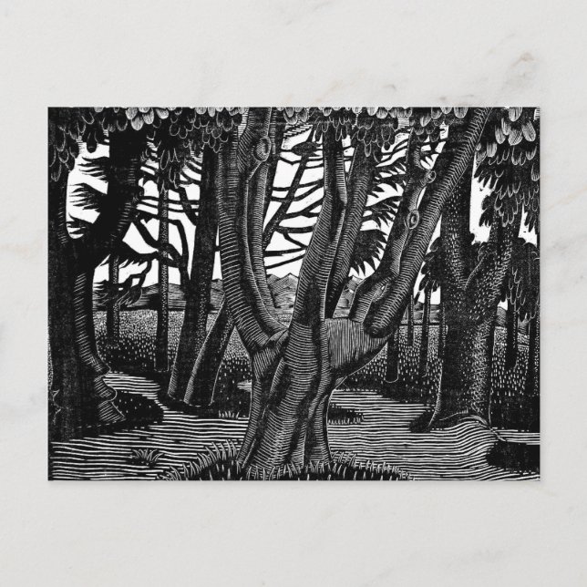 Eric Ravilious Art, Woodland außerhalb von Florenz Postkarte (Vorderseite)