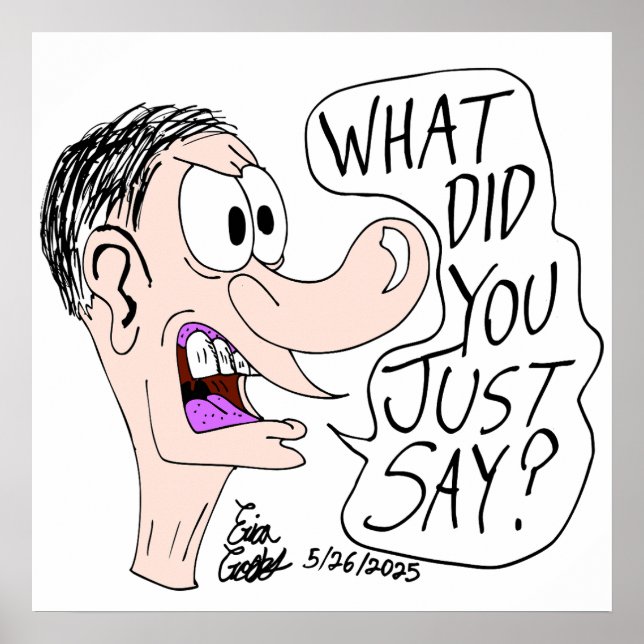 Erica Crooks Comics - What did you just say ? Poster (Vorne)