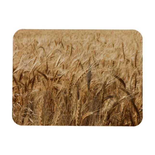 Erick, Oklahoma Route 66 Magnet (Horizontal)