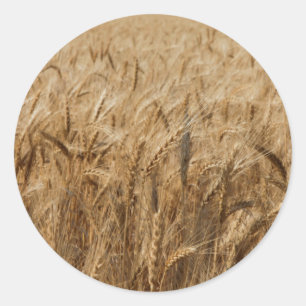 Erick, Oklahoma Route 66 Runder Aufkleber