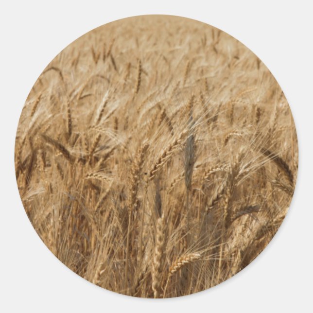 Erick, Oklahoma Route 66 Runder Aufkleber (Vorderseite)