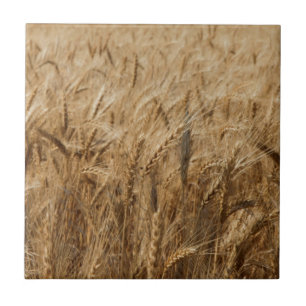 Erick, Oklahoma-Weg 66 Fliese
