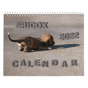 Eridox-Dackeln 2022-Kalender Kalender