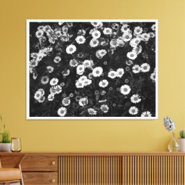 Erigeron Daisies Canvas Print Leinwanddruck