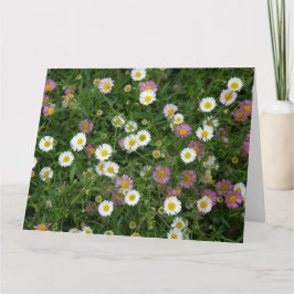 Erigeron Karte