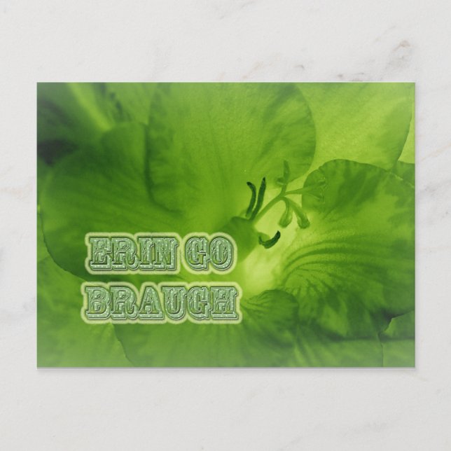 Erin Go Braugh Green Freesia Items Postkarte (Vorderseite)