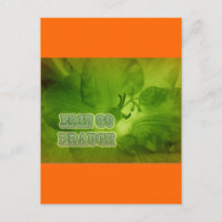 Erin Go Braugh Green Freesia Items