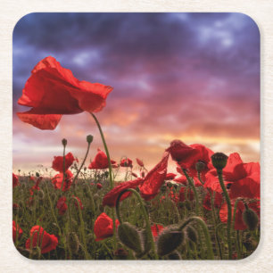 Erinnern an Feld der Mohnblumen Rechteckiger Pappuntersetzer