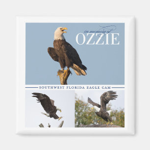 Erinnern an Ozzie Magneten Magnet