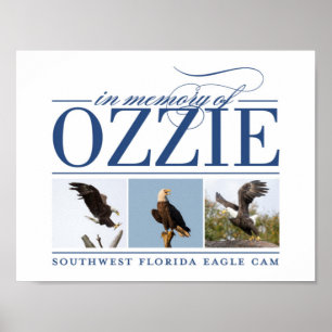 Erinnern Ozzie an dekoratives Plakat