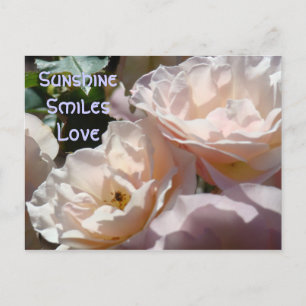 Erinnern Sie mich an Sie! Postkarte Pink Rose Blum