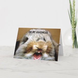 ERINNERN SIE SICH AN ALLE ÜBERNACHTUNGEN ÜBER DEM  KARTE