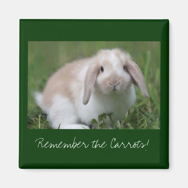 Erinnern Sie sich an die Karotten! Hase Magnet (Vorne)