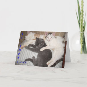 ERINNERN SIE SICH AN.... KARTE