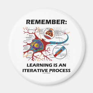Erinnern Sie sich: Das Lernen ist eine Magnet