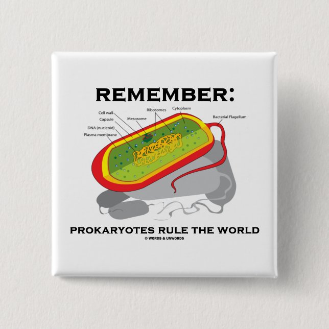 Erinnern Sie sich: Prokaryotes ordnen die Welt an Button (Vorderseite)