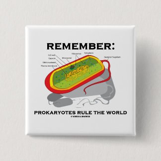 Erinnern Sie sich: Prokaryotes ordnen die Welt an Button