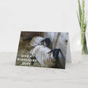 ERINNERN SIE UNS, DASS U EIN JAHR ALTER IST KARTE