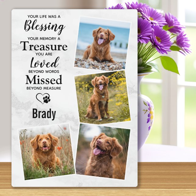 Erinnerung an das Foto des Hauses Achtung des Dog- Fotoplatte (Von Creator hochgeladen)