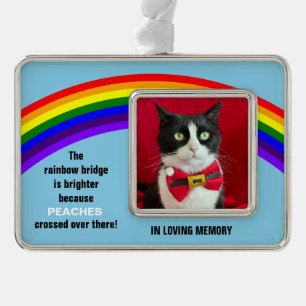 Erinnerung an die Hauskatze Weihnachten Regenbogen Rahmen-Ornament Silber