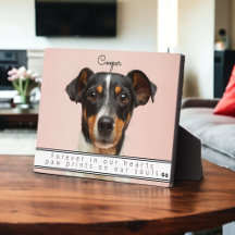 Erinnerung an Haustiere für immer in unserem Herze