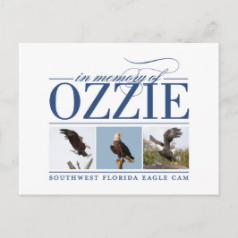 Erinnerung an Ozzie Postcard Postkarte