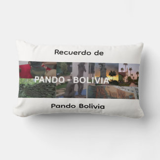 Erinnerung an Pando Bolivien Lendenkissen