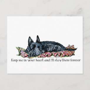 Erinnerung an Scottish Terrier Postkarte
